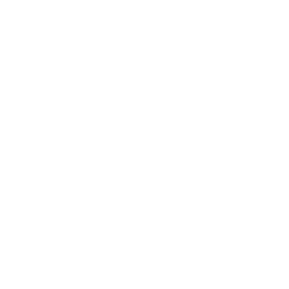 A white circle on a black background.